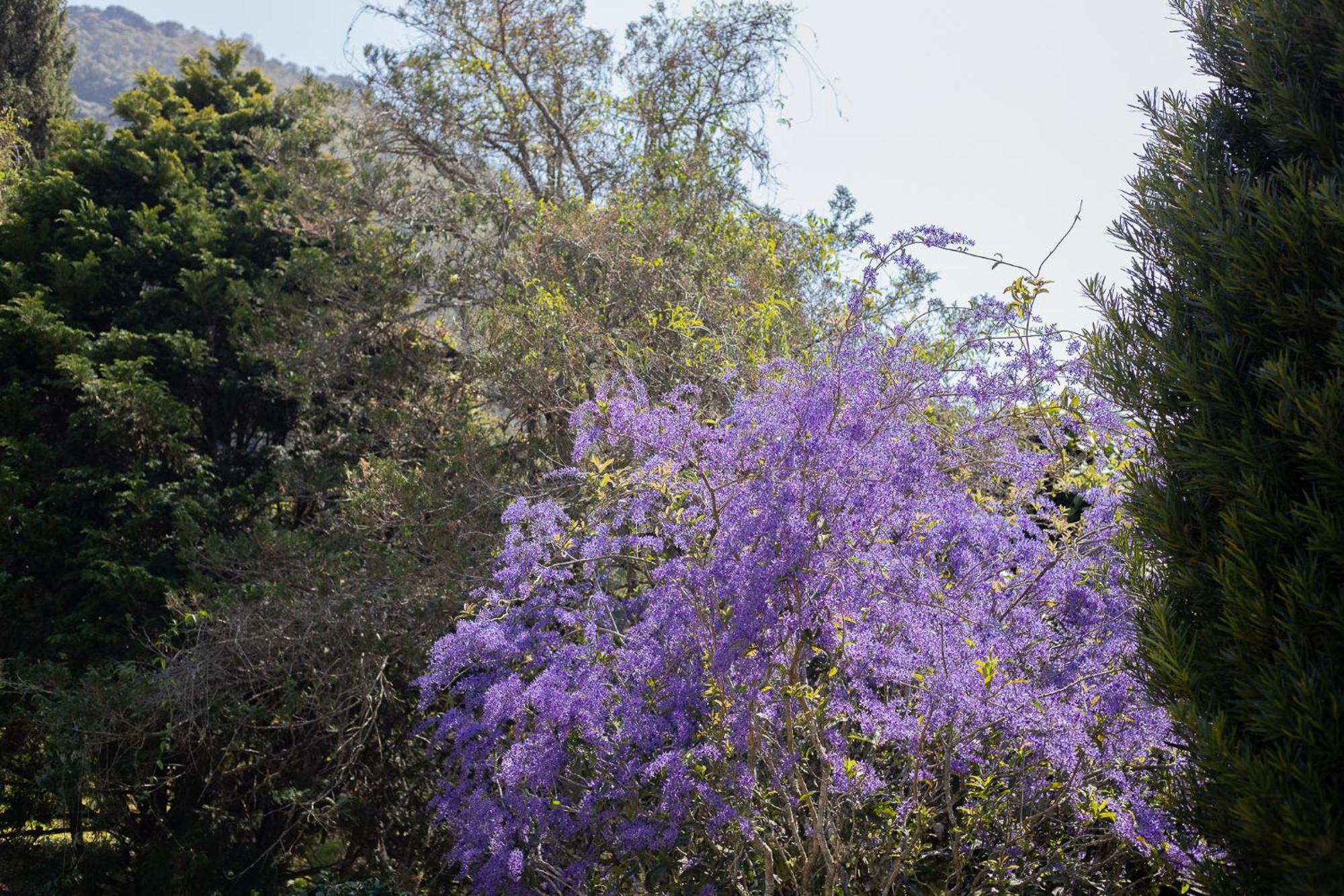 Recanto Dos Vianas Teresópolis Buitenkant foto